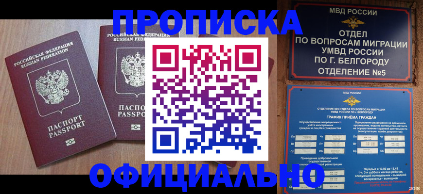 найти адрес прописки в Щучье